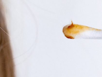 JEC Earwax blog hero