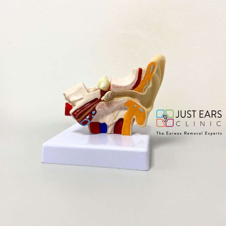 Click Here For Our Online Shop (1)